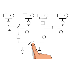 Le génogramme : un outil au service de la relation ?